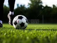 重启计划,轻微病例不,影响赛季,千亿体育,千亿体育官网,千亿体育官方,千亿体育下载