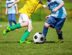 中国乒乓球,三将退赛引,争议,千亿体育,千亿体育官网,千亿体育官方,千亿体育下载