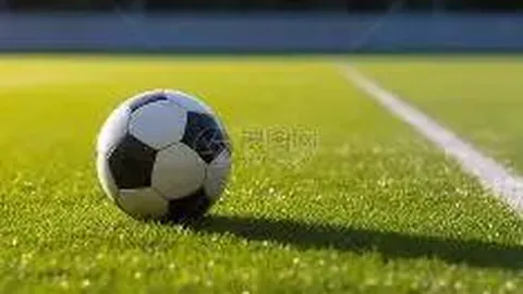 欧篮巅峰对决：杜拜战队挑战博洛尼亚，谁将稳坐冠军宝座？